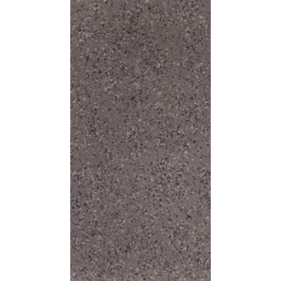 PRDE 36DG RM 30 x 60 Dark Grey